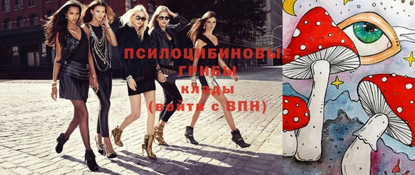 СК Куйбышев