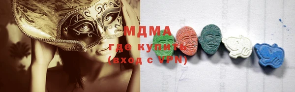 прущие грибы Лабытнанги