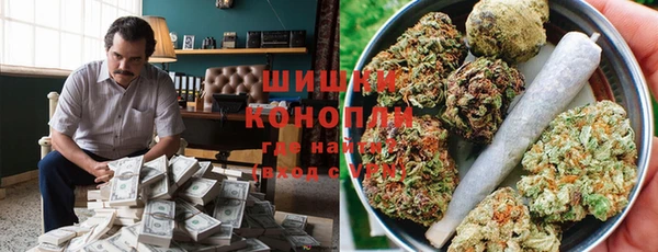 PSILOCYBIN Кулебаки