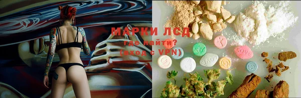 СК Куйбышев