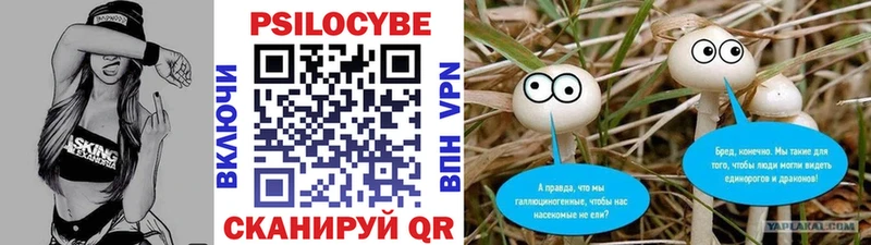 Псилоцибиновые грибы Cubensis  Назарово 