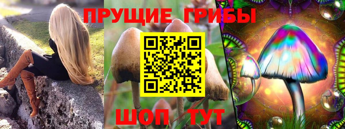 Псилоцибиновые грибы прущие грибы Назарово
