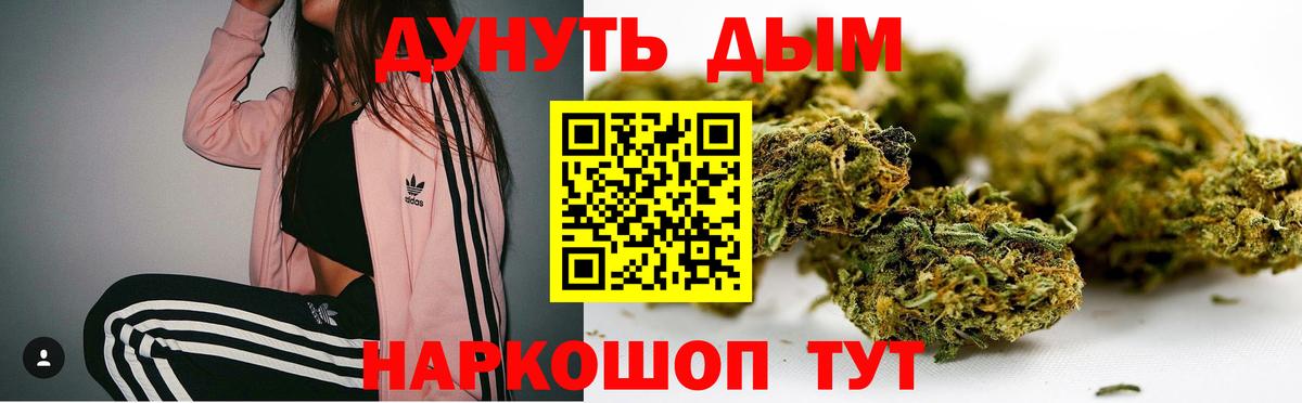 Бошки марихуана сатива Назарово